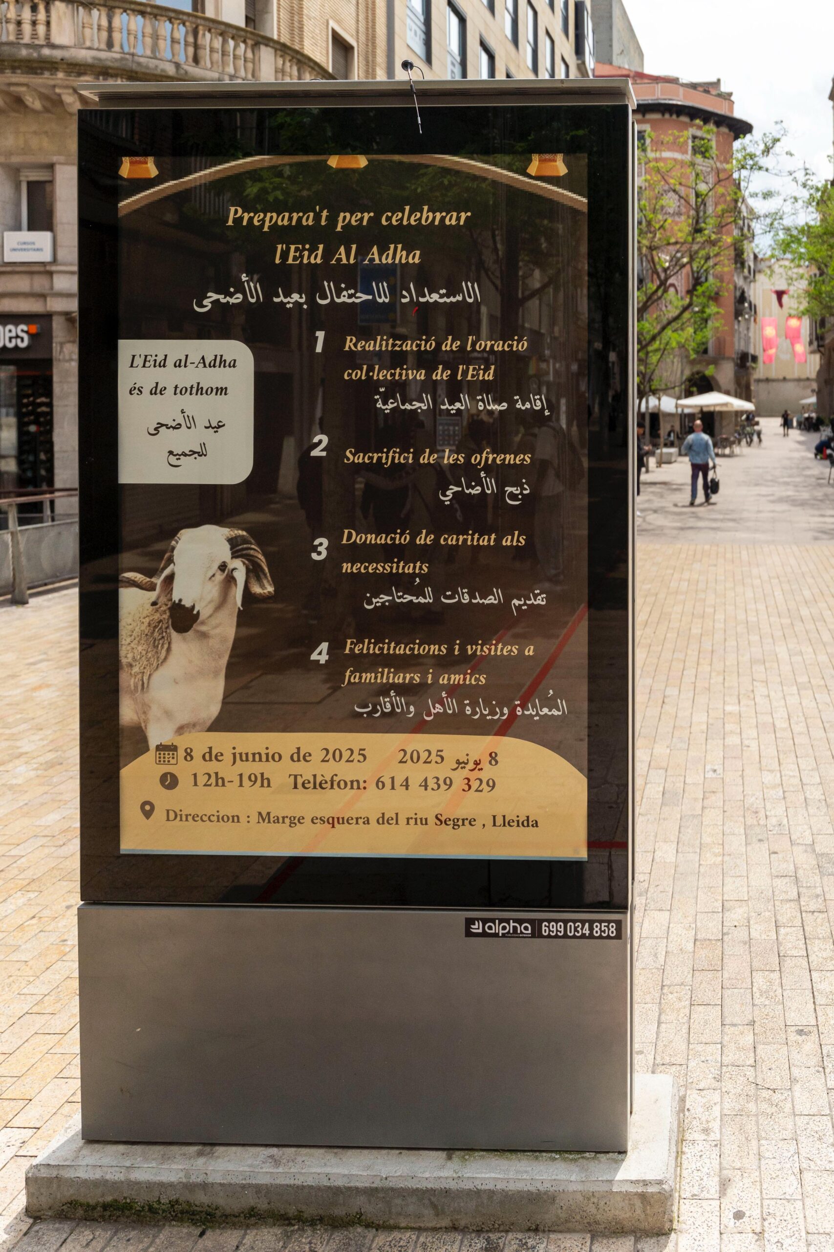 Cartell Festa del xai