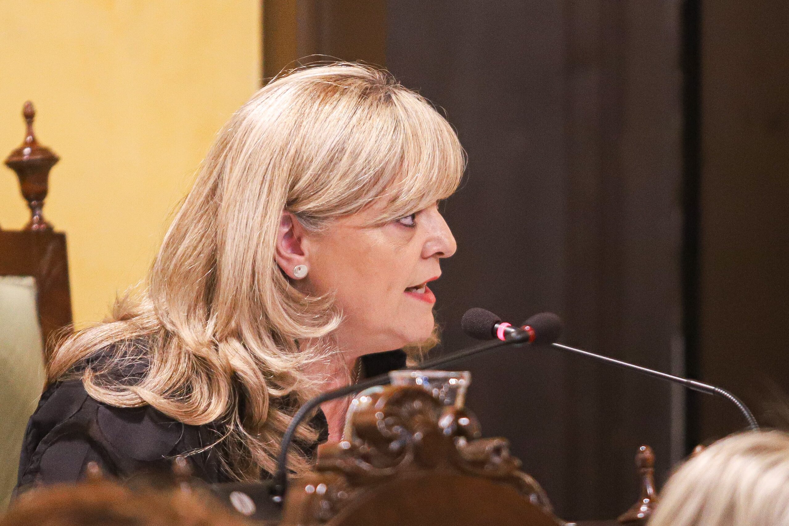 Violant Cervera durant el Ple Paeria de l'Estat de la Ciutat (3)