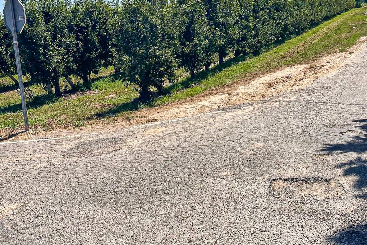 Camins de l'Horta (5)