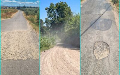 Junts reclama un Pla de Camins integral per a l’Horta de Lleida i un canvi d’estratègia en la seva gestió