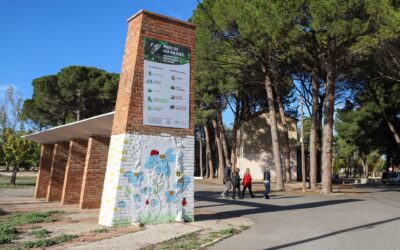 Junts pregunta a la Paeria sobre l’estat de licitació del càmping de les Basses
