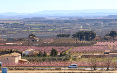 Presentem una moció per reclamar un Pla Director Urbanístic que doni una solució definitiva als habitatges de l’Horta de Lleida