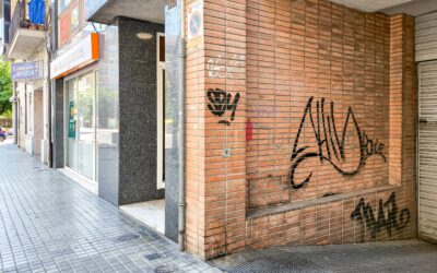 Proposem blindar jurídicament la nova Ordenança de Civisme de Lleida perquè sigui realment efectiva